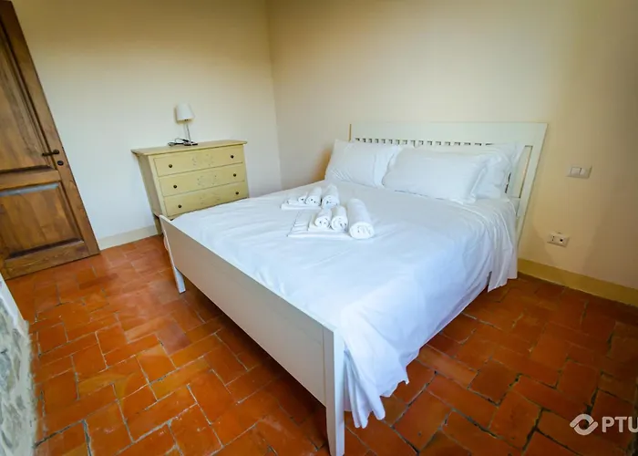 Ptu Vocabolo Feano Willa