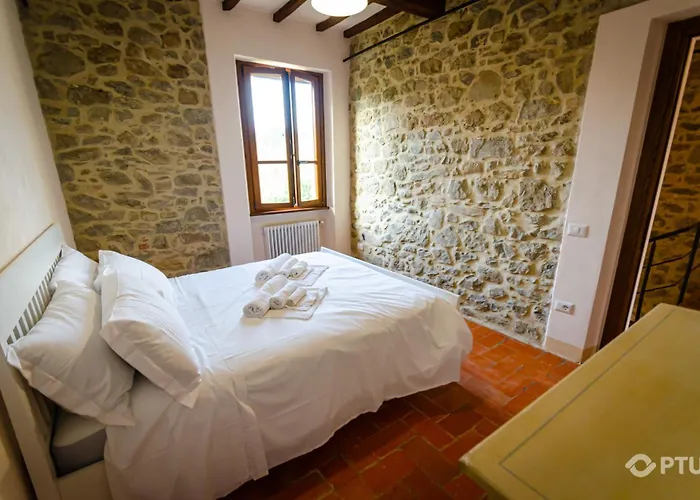 Ptu Vocabolo Feano Willa